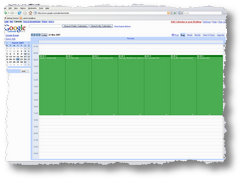 Google Calendar - Daily View